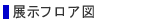 Wz[CAEg